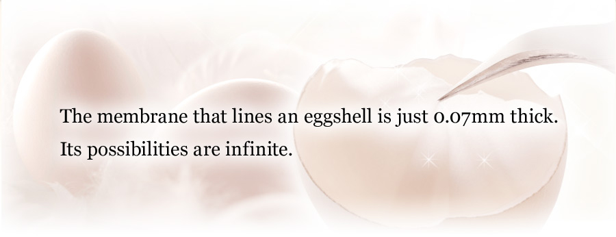 The membrane that lines an eggshell is just 0.07mm thick. Its possibilities are infinite.
